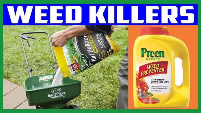 12 Best Spruce Weed Killers in 2025 Tested and Reviewed